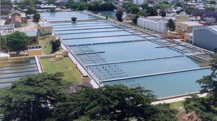 La justicia advirtió que Assa vierte aproximadamente 350 millones de litros de desechos no tratados al río
