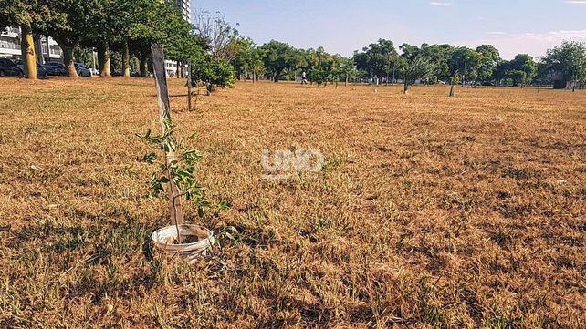 Parque Federal. Una plantación de más de 25 árboles frutales es mantenida por los propios vecinos del barrio.&nbsp;