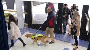 Perros guía para ciegos, una herramienta que cobra cada vez más valor