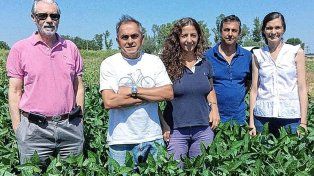 Científicos de la UNR crearon una nueva variedad de soja con alto potencial de rendimiento.