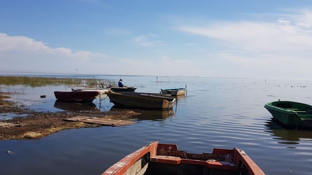 El presidente comunal de Diego de Alvear asegura que la pesca con cañas afecta a la población de peces. Mientras que su par de San Gregorio sostiene que el daño lo hace la extracción con redes.