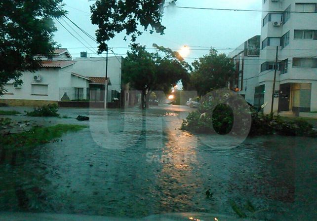Árboles caídos, carteles tumbados y cables cortados por el fuerte temporal