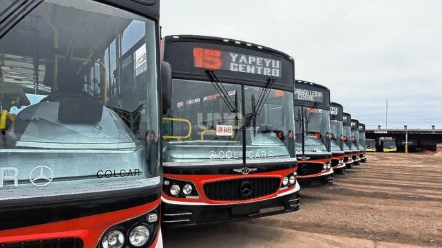 Entre coches 0 km y usados: la renovación de la flota de colectivos en la ciudad que anticipa el aumento del boleto Entre coches 0 km y usados: la renovación de la flota de colectivos en la ciudad que anticipa el aumento del boleto