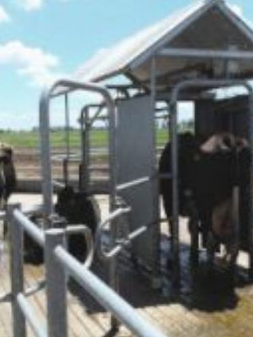 La producción de leche batió el récord de una década en 2025