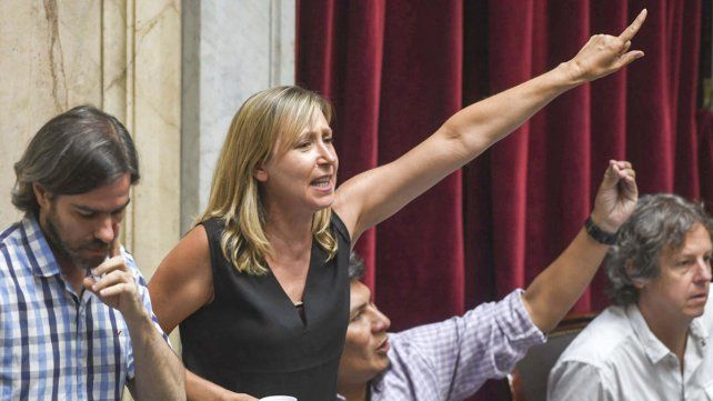 El debate de la Ley Ómnibus arrancó con tensión. Un hombre identificado con LLA fue sacado del recinto por insultar a la diputada Myriam Bregman