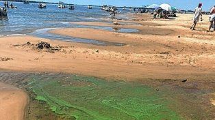 Concepción del Uruguay: detectaron nuevamente presencia de verdín en los balnearios.