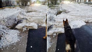 Por la tormenta y granizo