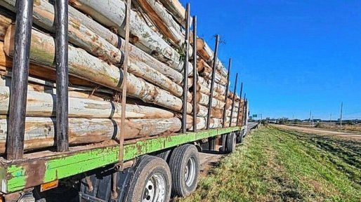 Tragedia en Ruta 14: murió un niño de dos años atropellado por un camión
