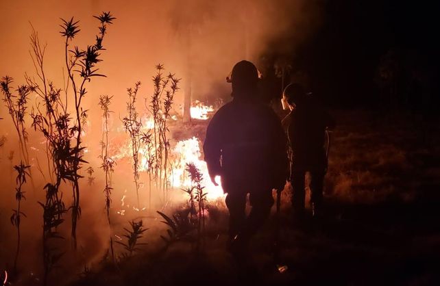 El trabajo de los Bomberos Zapadores de Vera en el campo de el Paraje Los Palmares.&nbsp;