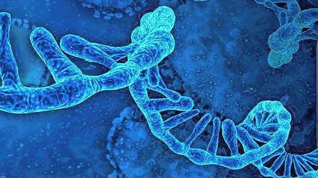 Las vacunas de ARN mensajero prodrían ser eficaces para otras enfermedades