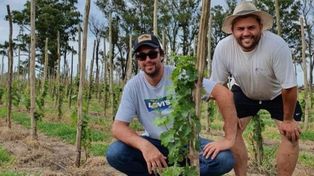 Vinos con terruño y memoria santafesina