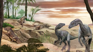 Científicos del Conicet, el Museo Argentino de Ciencias Naturales y universidades públicas identificaron a la nueva especie que llamaron Huayracursor jaguensis.