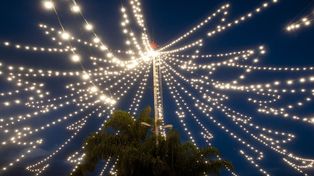Pura luz. La estructura del árbol está compuesta de 3 mil bombillas de tecnología LED.