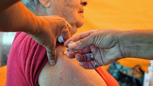 Vacunación gratuita: se ofrecen dosis contra gripe, neumonía, VSR y tos convulsa para grupos prioritarios.
