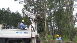 Cinco días podría llevar restablecer el servicio de luz en su totalidad