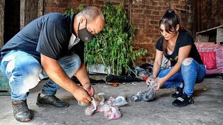 Cocaína adulterada: los primeros resultados de los peritajes