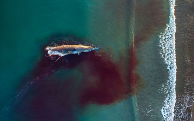Drone Photo Awards 2021, impactantes imágenes desde las alturas