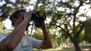 La Municipalidad está realizando un relevamiento de biodiversidad urbana