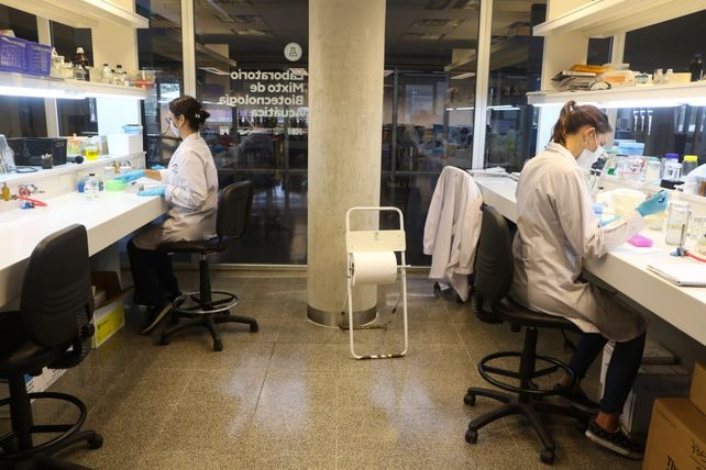 La investigación se realizó sobre una muestra de 180 casos positivos que corresponden a los meses de mayo y junio.