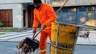 Paraná: contenedores llenos de ramas y hojas