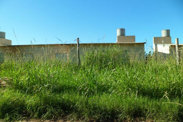Solicitan informes sobre plan de viviendas abandonado en el norte de la ciudad