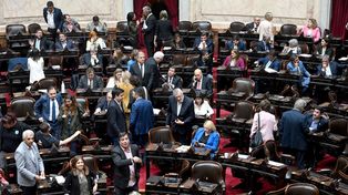 Los legisladores de Juntos por el Cambio protagonizaron una convulsionada sesión el jueves pasado.