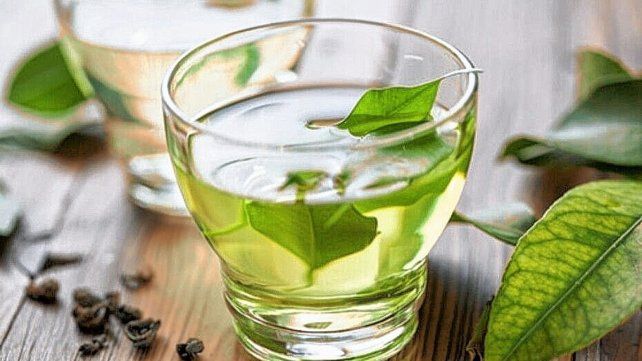 La propuesta. Buscó resignificar la idea de que no todo lo natural es inocuo y la importancia de la identificación de las plantas medicinales.