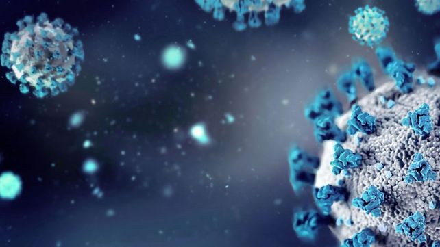 Norovirus, el otro virus que preocupa a Gran Bretaña