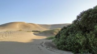 Una mujer murió tras extraviarse en los médanos de una zona de Villa Gesell