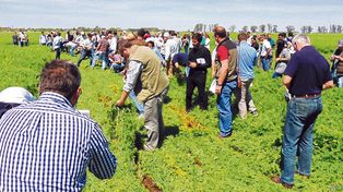 La agroecología comienza a echar raíces en el territorio