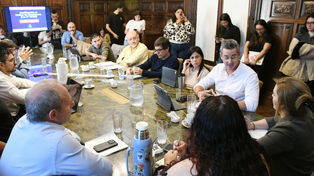 Seisas fue al Concejo Municipal a presentar el proyecto de ley para prohibir a los cuidacoches en Rosario.