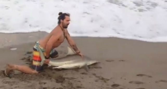 El joven sacó al tiburón del agua para ser fotografiado con el animal.