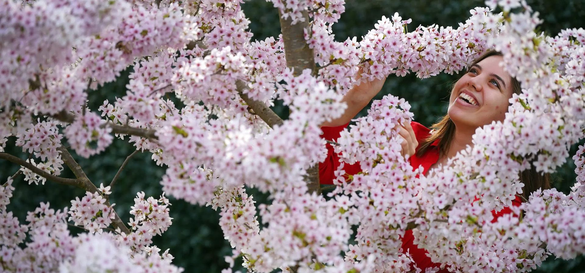 Mia Babic posa durante una sesión de fotos para el festival Sounds of Blossom en el Real Jardín Botánico de Kew. El festival se celebra desde el sábado 23 de marzo hasta el domingo 14 de abril, Londres, Reino Unido. Fotografía: Victoria Jones/PA Mia Babic posa durante una sesión de fotos para el festival Sounds of Blossom en el Real Jardín Botánico de Kew. El festival se celebra desde el sábado 23 de marzo hasta el domingo 14 de abril, Londres, Reino Unido. Fotografía: Victoria Jones/PA