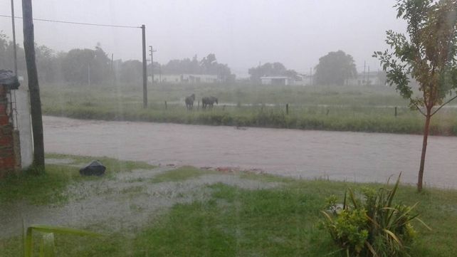 Seguí, otra de las ciudades entrerrianas afectadas por el temporal