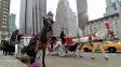 Fin de un ícono turístico de Nueva York: prohibirán los carros tirados por caballos