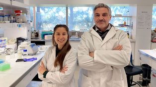 Conicet: herramienta bioinformática permite estudiar genoma del parásito que produce el chagas