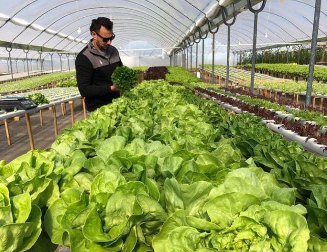 Esta herramienta busca poner en valor los alimentos locales mediante el comercio electrónico.