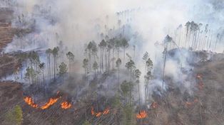 Las imágenes del incendio en Córdoba con 450 evacuados