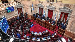 Se discute el acuerdo con el FMI en el Senado Nacional