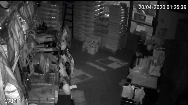 Quiso robar en una forrajería y sus movimientos quedaron registrados en la cámaras