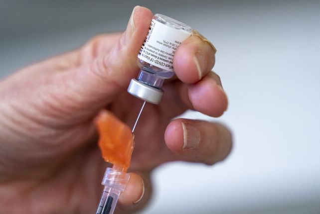 Pfizer realizó un quinto de los ensayos de fase 3 en Argentina