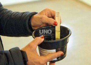 Dengue en Santa Fe: cómo funciona el sistema de ovitrampas para el monitoreo del mosquito en los barrios