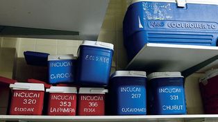 La Justicia anuló una medida que ordenaba incluir a un ciudadano extranjero en lista de espera para trasplante cardíaco