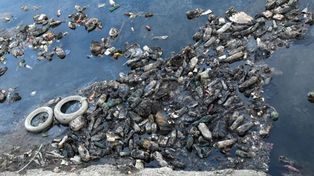 Alarma por la contaminación en el río Paraná