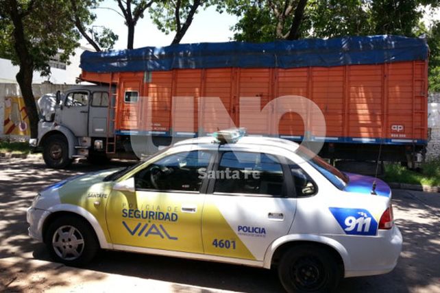 La Policía de Seguridad Vial secuestró un camión, animales y un arma en operativos