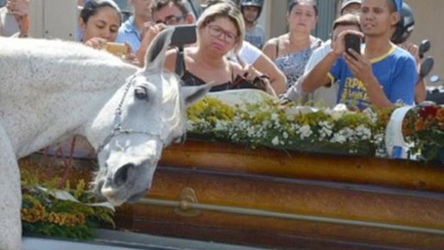 Sereno, el caballo que lloró durante la despedida de su jinete