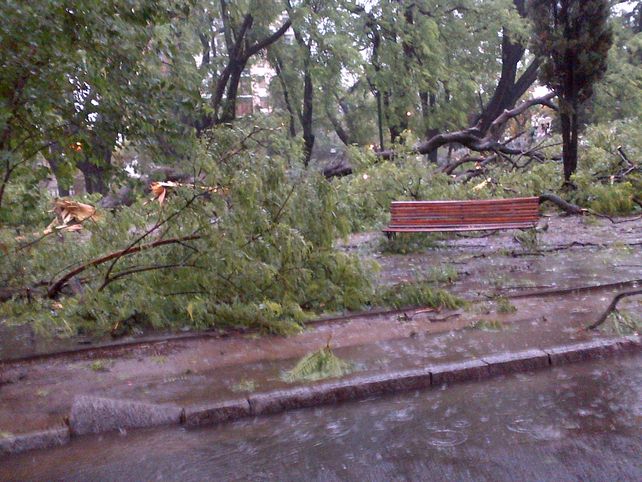 Así se veía este vienres la Plaza Pueyrredón. Gentileza Alejo Martínez