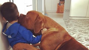 La tierna imagen del enorme perro de Leo Messi fundido en un beso con su hijo Thiago