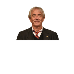 Aníbal Faccendini (*)