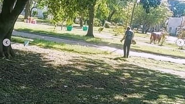 Elogian al intendente que corta el pasto en su pueblo